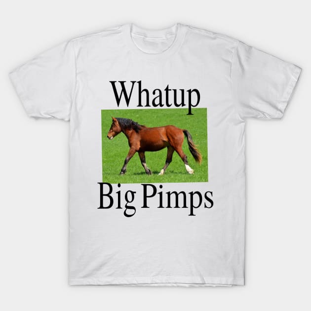 Whatup Big Pimps T-Shirt by blueversion